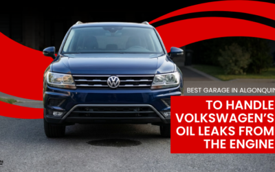 Best Garage in Algonquin to Handle Volkswagen’s Oil Leaks From the Engine