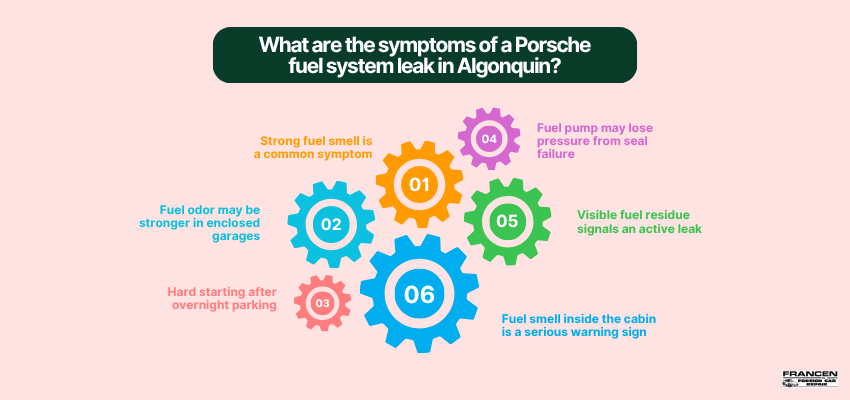What are the symptoms of a Porsche fuel system leak in Algonquin