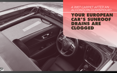 A Wet Carpet After an Algonquin Downpour? Your European Car’s Sunroof Drains Are Clogged