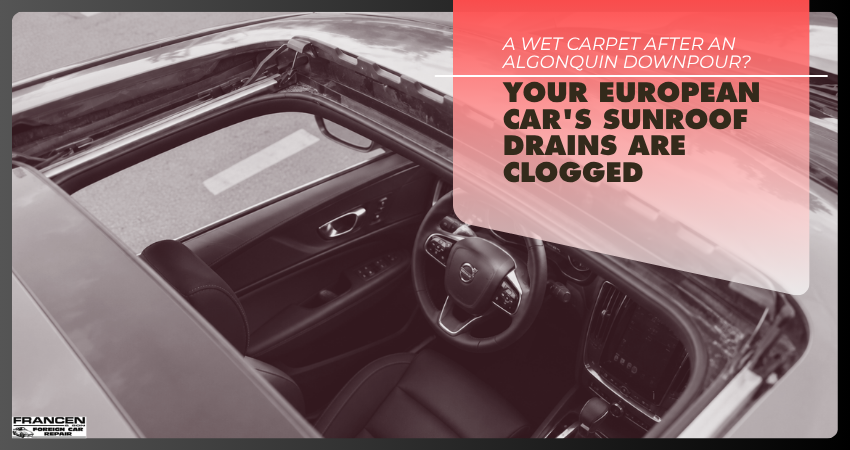 A Wet Carpet After an Algonquin Downpour Your European Car's Sunroof Drains Are Clogged