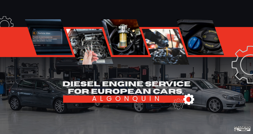 Diesel Engine Service for European Cars, Algonquin